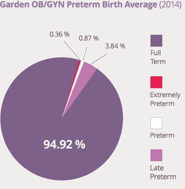 Preterm Birth Pie Chart
