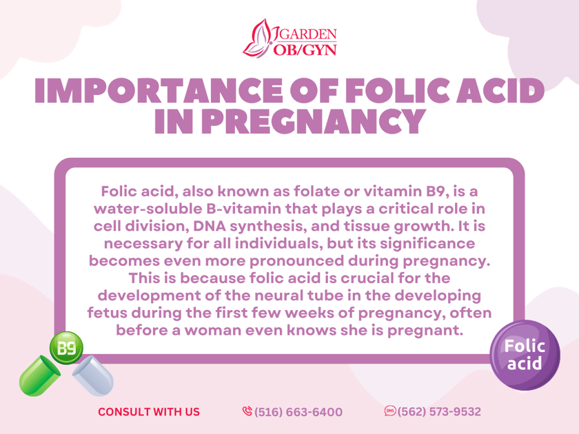 Importance Of Folic Acid In Pregnancy Garden OBGYN Obstetrics Importance Of Folic Acid In Pregnancy Garden OBGYN Obstetrics