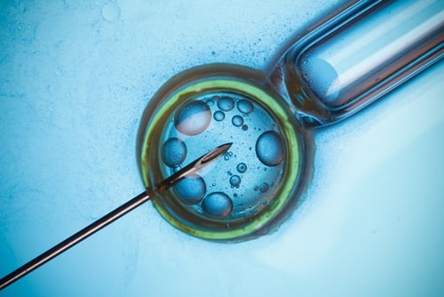 Garden OB/GYN In-Vitro Fertilization