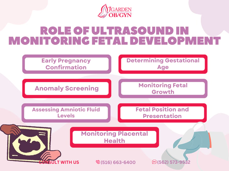 Role of Ultrasound in Monitoring Fetal Development