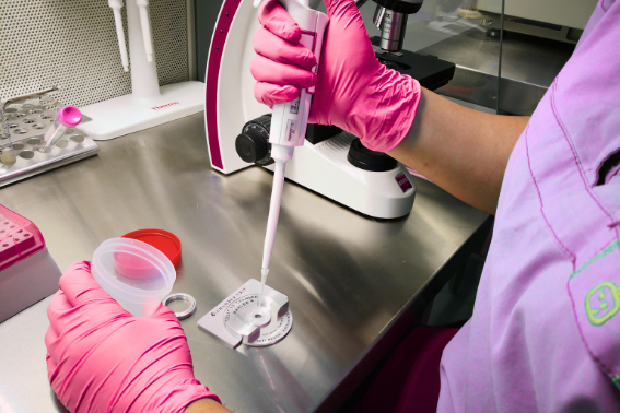 Preserving Your Future: A Comprehensive Guide to Egg Freezing at Garden OB/GYN