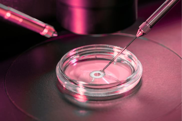 Your Complete Guide to IVF: How It Works, Who It's For, and What to Expect