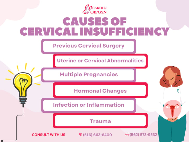 What are the Causes of Cervical Insufficiency?