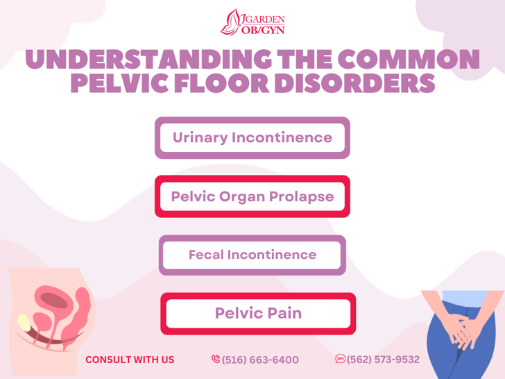 Understanding the Common Pelvic Floor Disorders