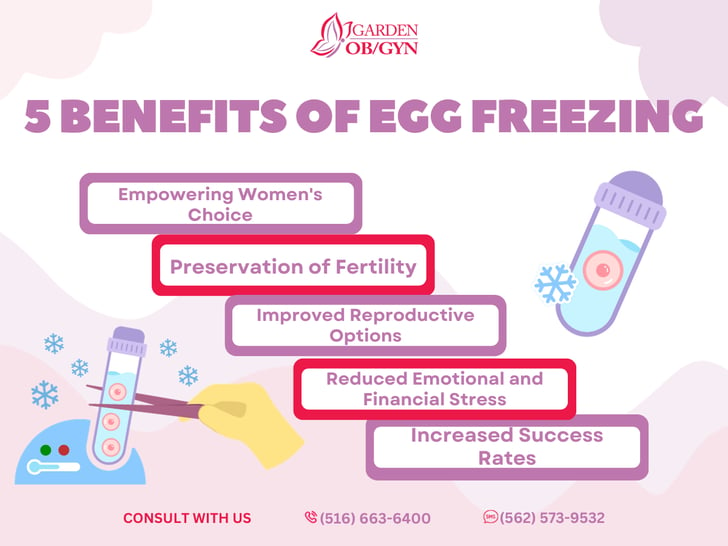 Why Should You Consider Egg Freezing?