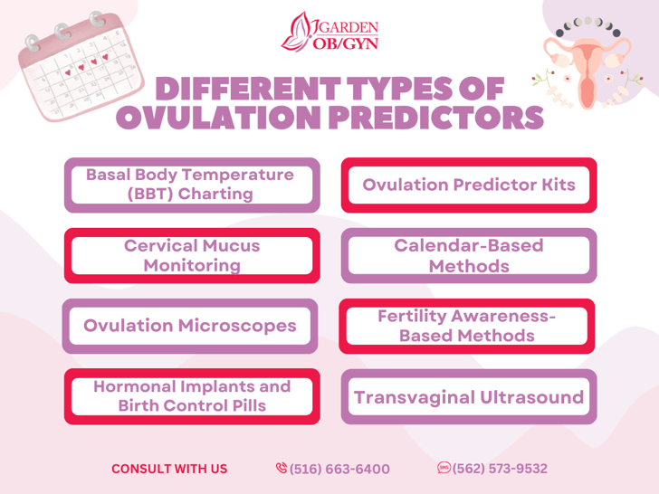 Comprehensive Guide on Various Ovulation Predictors