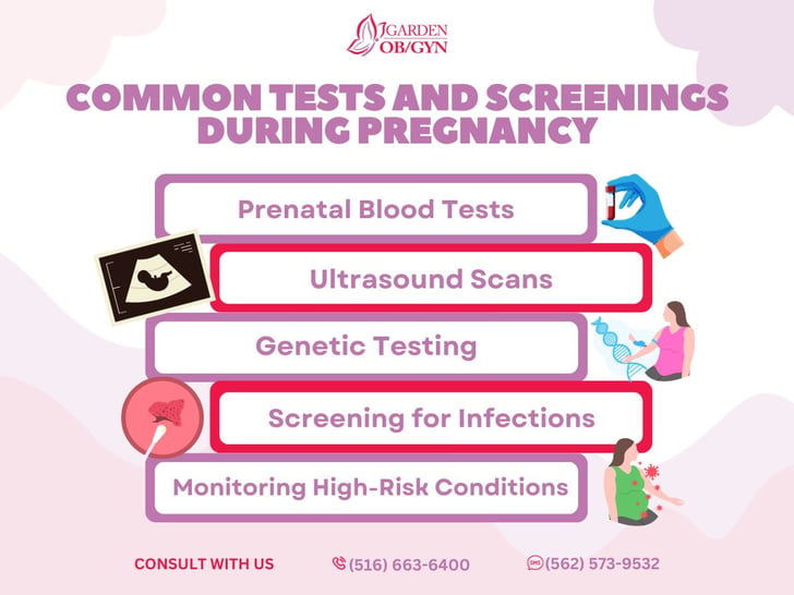 Common Tests and Screenings During Pregnancy