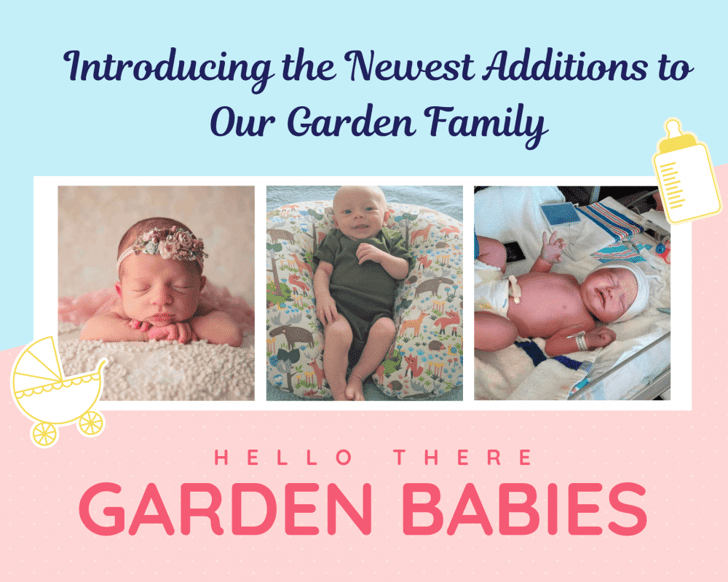 Welcoming The Newest Garden Babies