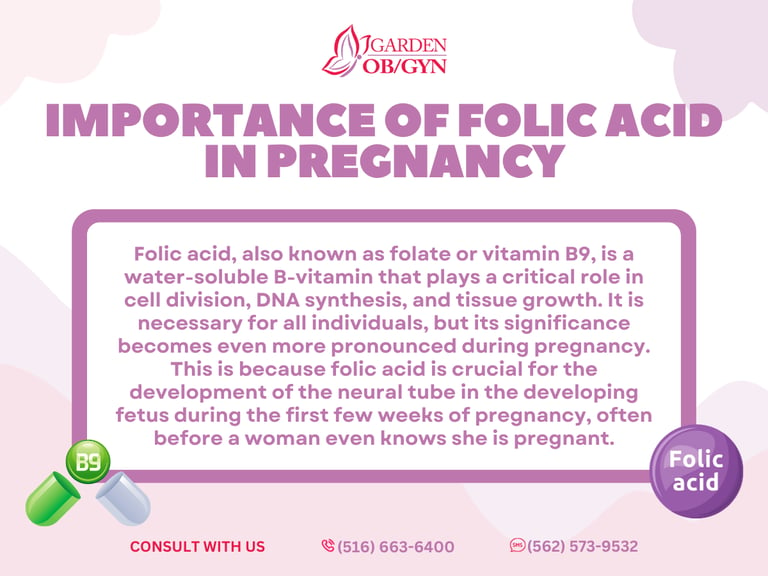 Importance of Folic Acid in Pregnancy