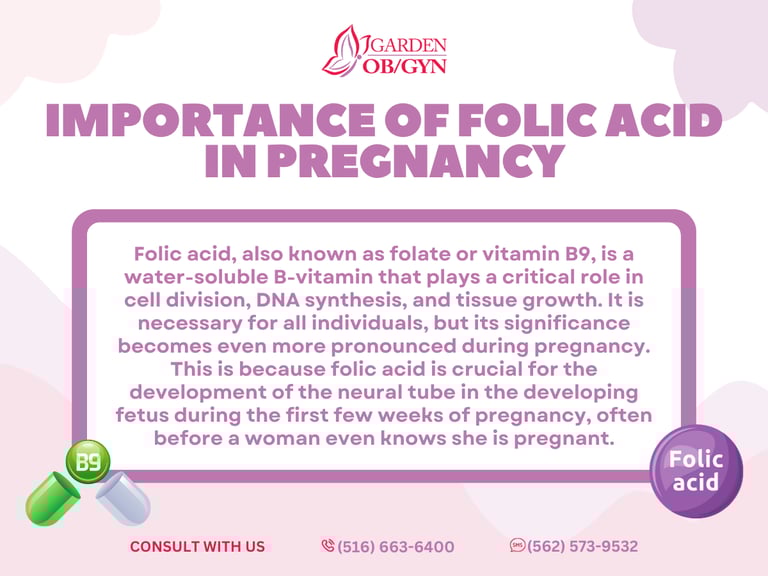 Importance of Folic Acid in Pregnancy