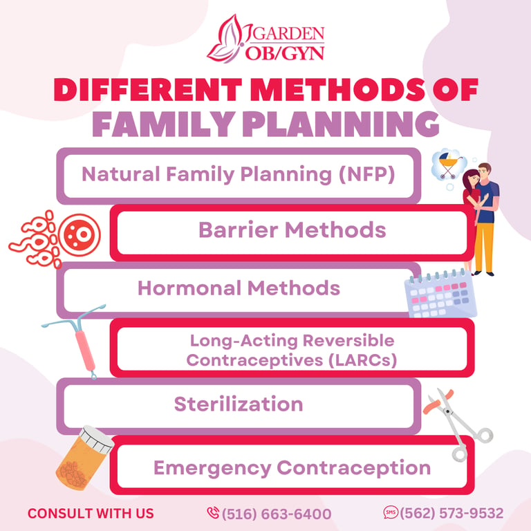 Exploring Various Methods of Family Planning