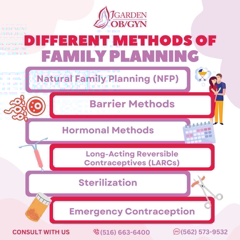 Exploring Various Methods of Family Planning