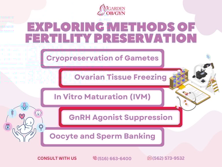 Exploring Methods of Fertility Preservation