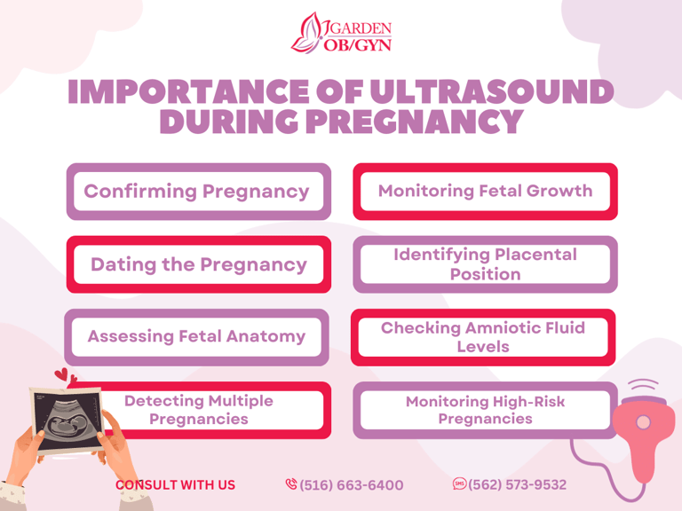 Importance of Ultrasound During Pregnancy