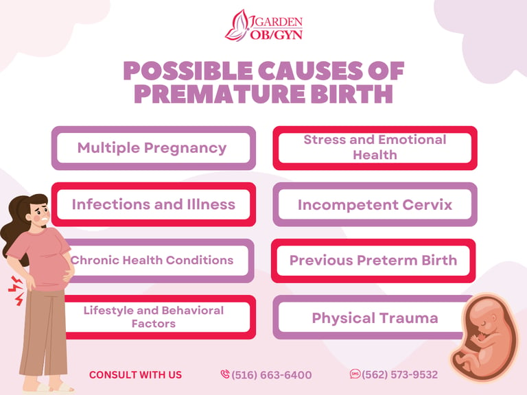 Causes of Premature Birth