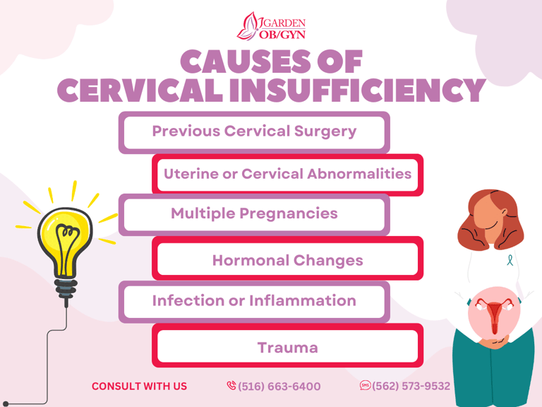What are the Causes of Cervical Insufficiency?