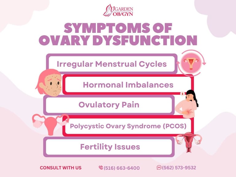 Understanding Symptoms of Ovary Dysfunction